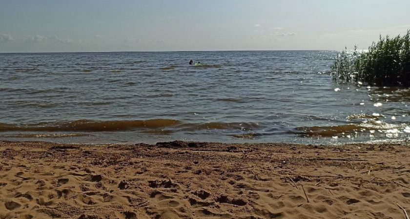 "Еле ноги унесли от этого гостеприимства": россиянин оставил правдивый отзыв об отдыхе в Абхазии