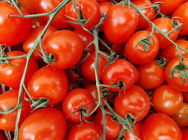 Как вырастить гигантские помидоры без химии: задача в одно действие