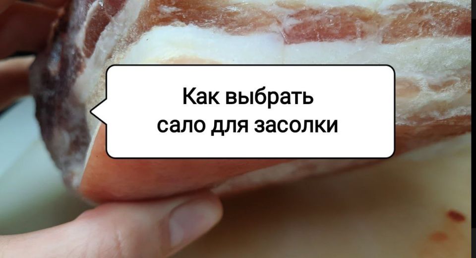      :   