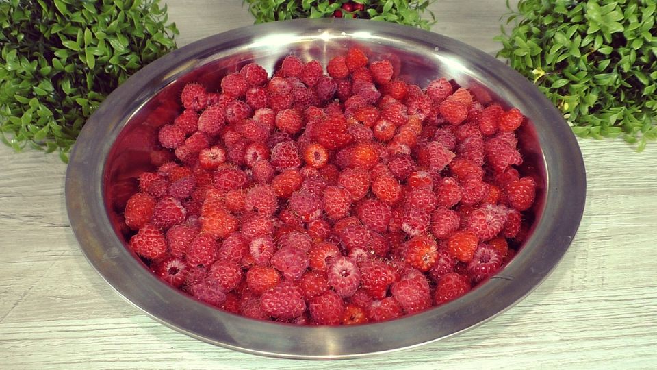 -5     Wildberries    &quot;&quot;   
