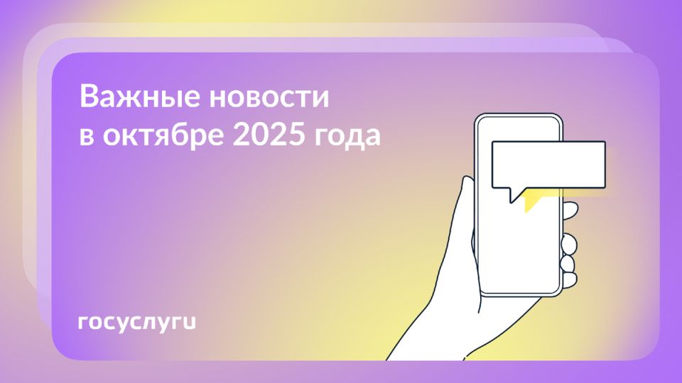      2025 :    