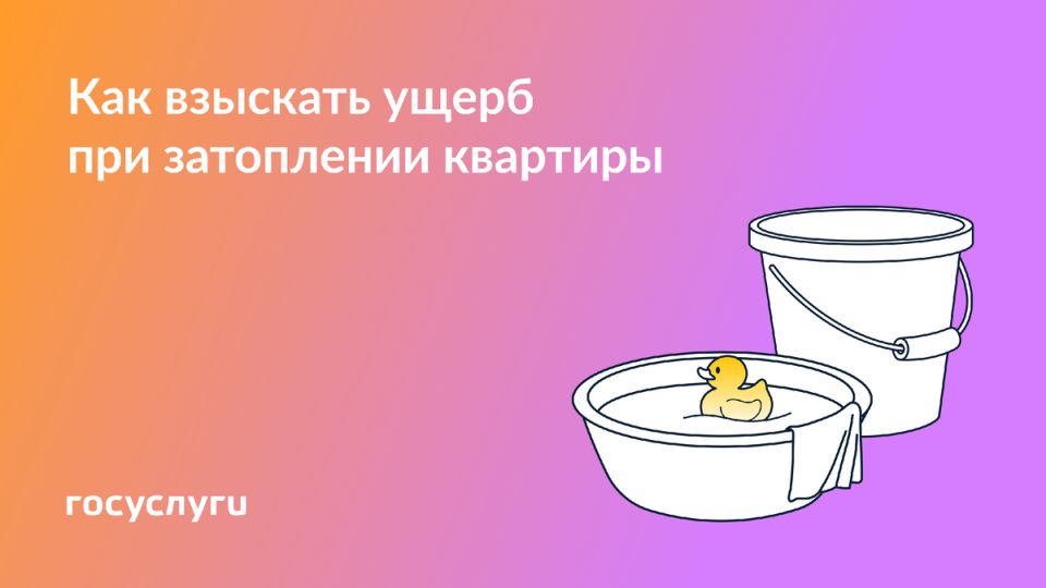  ,    :   
