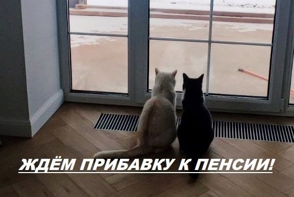   :     ?