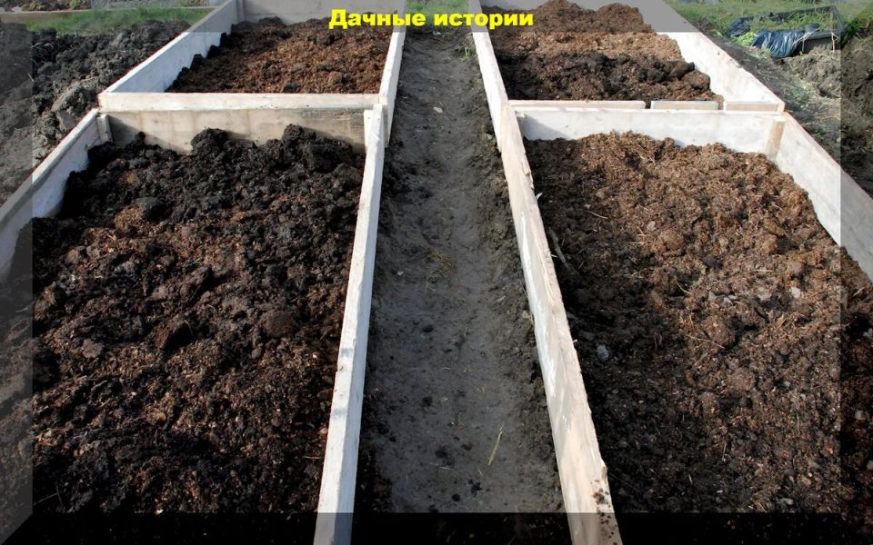 Октябрь: время подготовительных работ для будущего урожая томатов