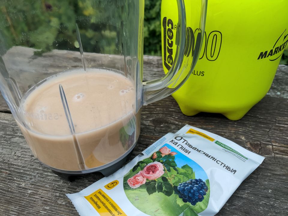 Как оградить свой урожай от болезней: проверенные методы борьбы с вредителями