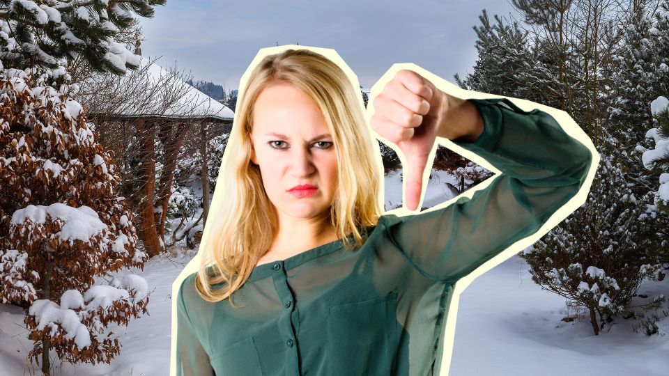 Урожая можно не ждать: этот признак мигом выдает подмерзшее дерево