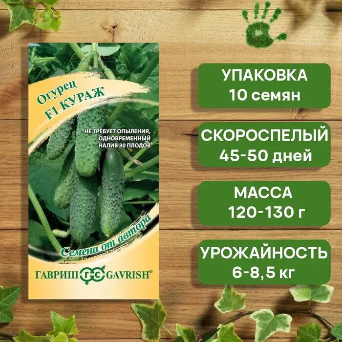 Огурец Кураж F1: идеальный выбор для огородников