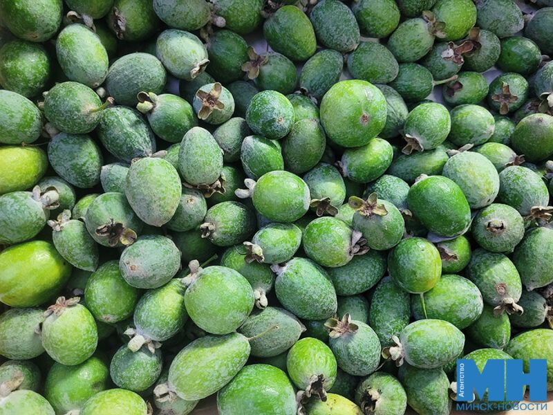 Скоро морозы: какие фрукты и овощи ждут на Комаровке и сколько они стоят?