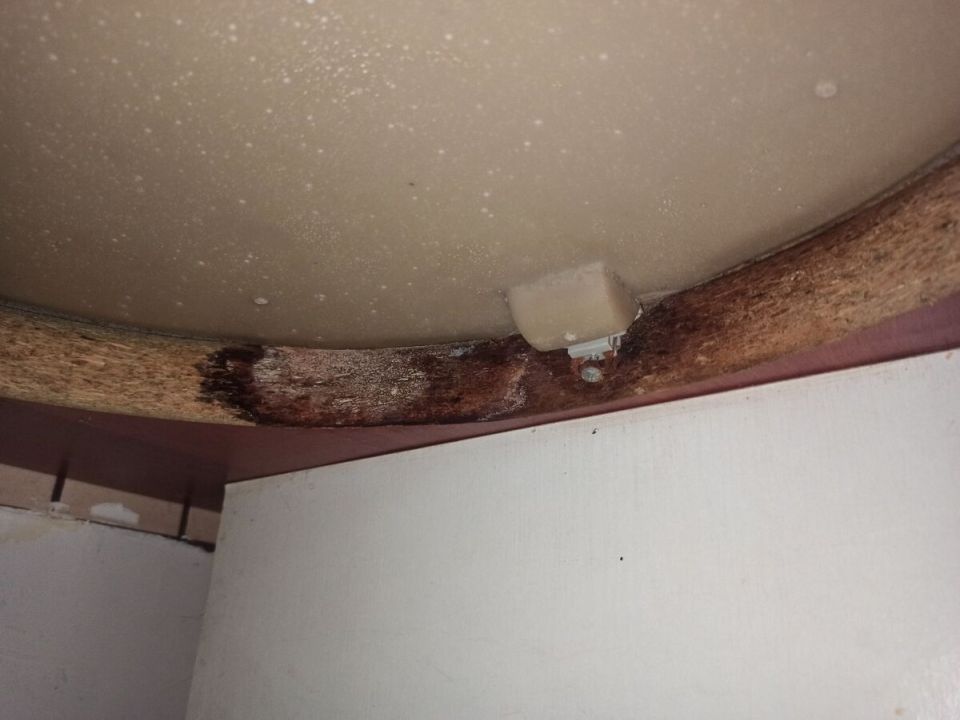 Плесень в вашем доме: как сантехника может стать источником проблемы