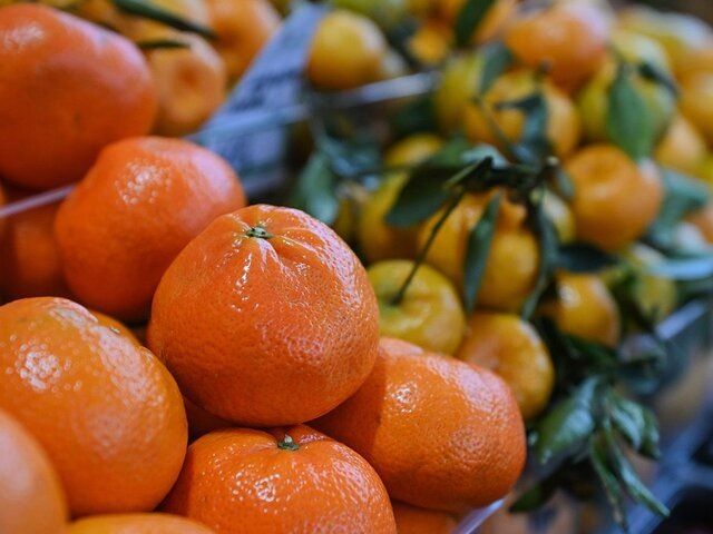 Первая партия мандаринов на ярмарках Москвы: свежесть и настроение зимы