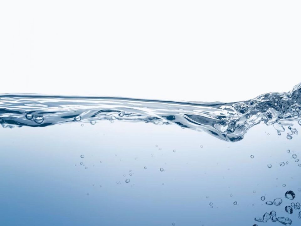 Как правильно поливать огород: выбираем идеальный источник воды