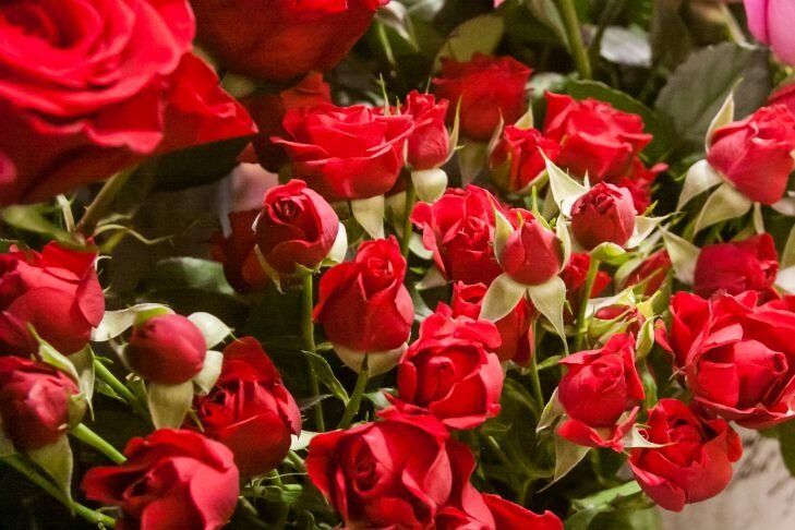 Какие букеты стоят дольше обычных: мало кто знает об этом