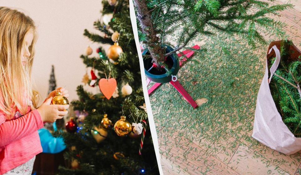 Когда же убирать елку? Приметы, советы и тонкости