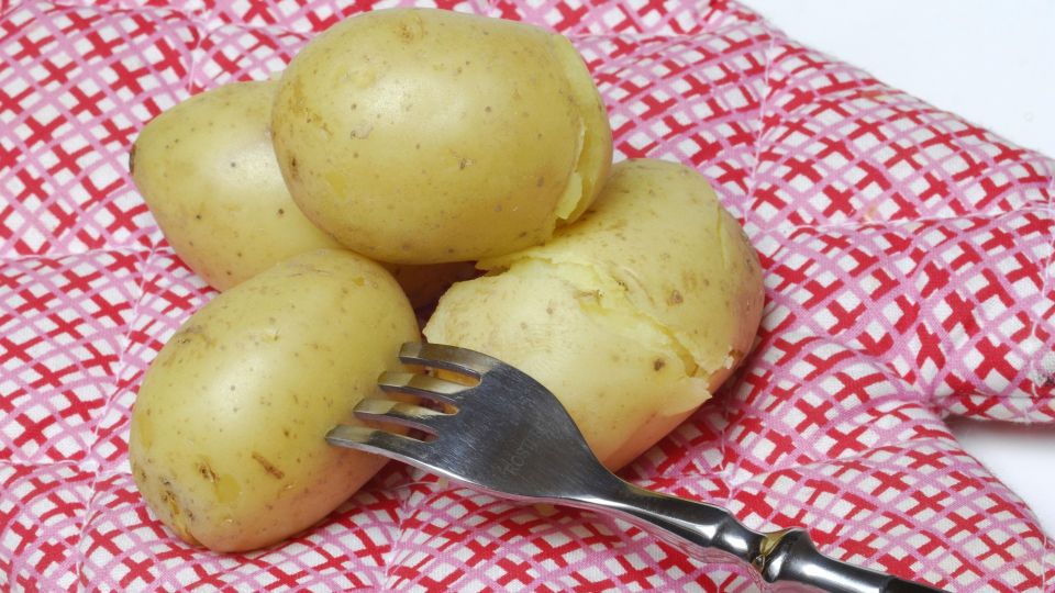 �������� ������ �� ���������: ������ �������� ���� ���������� ��� �����