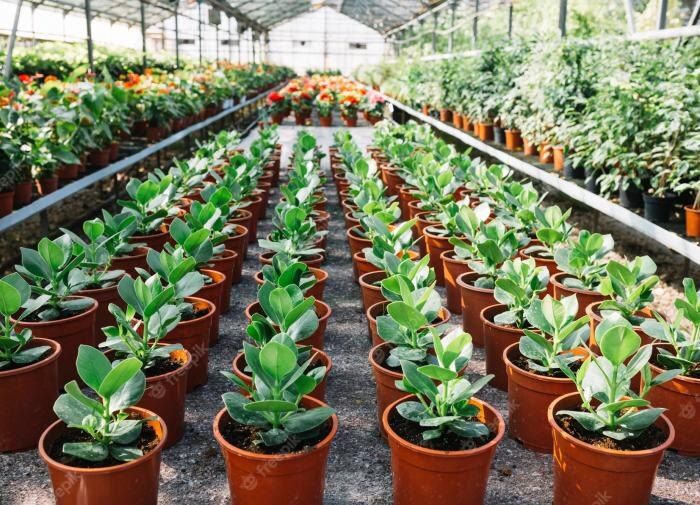 ��� �������� ��������� �������� ���������� ������� ��������������� ����������