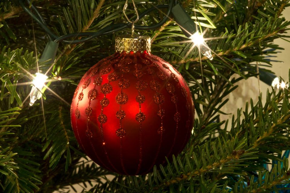 Новый год 2025: традиции, радости и кулинарные шедевры