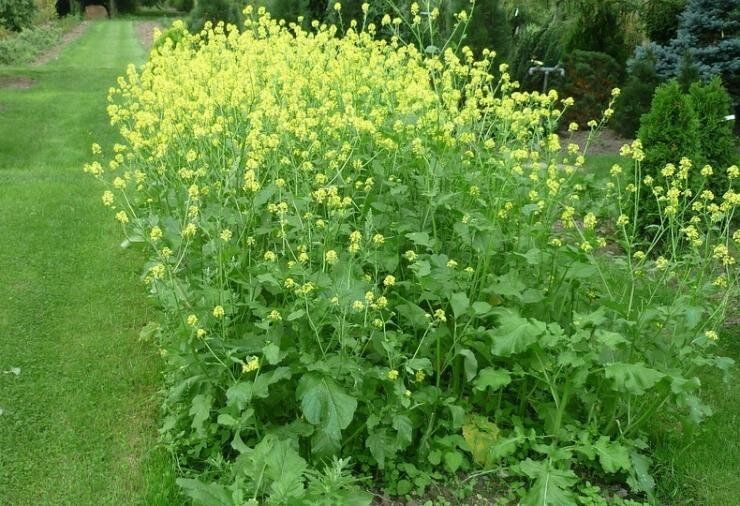 ��������: ������� ��������� ������� �������