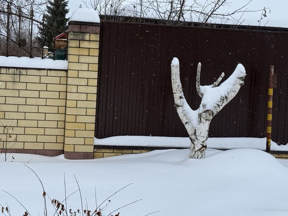 ������ ������ �����: ��� �������� ������ �� ��������� � ������ � ����