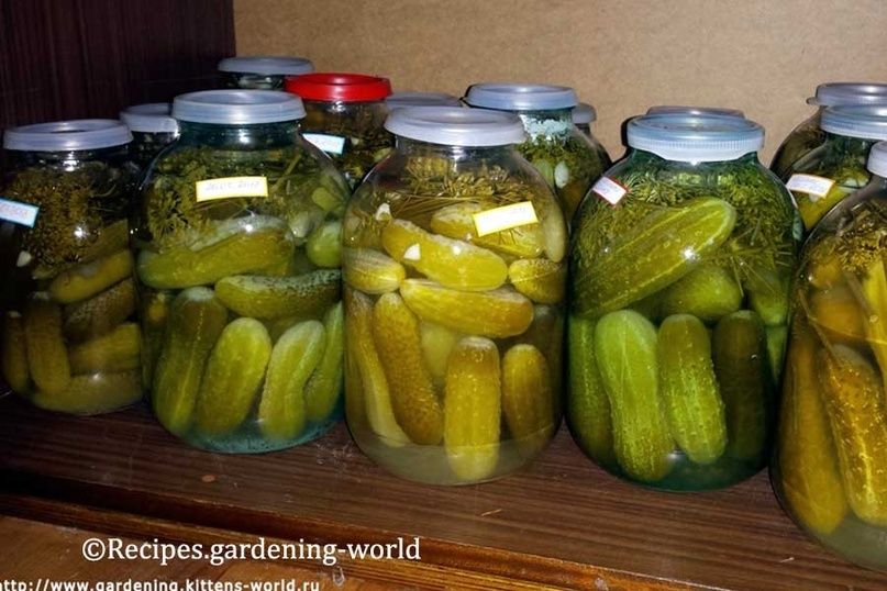 ��������� ������: ��������� ������ ������� � ������, ������� ������ ���