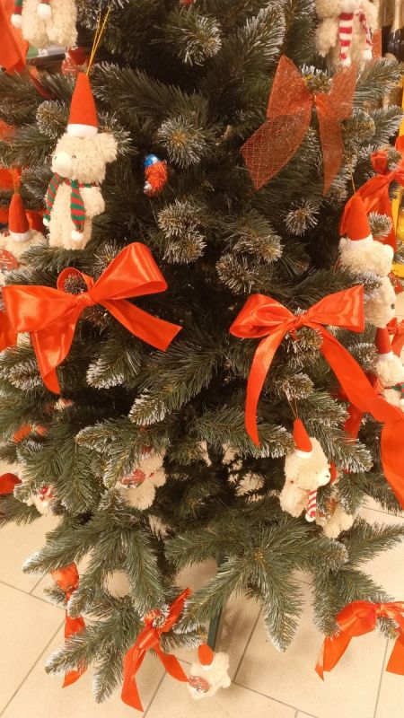 ��� �������� ���������� ������� �� ������: ������ ��� ��������� �����