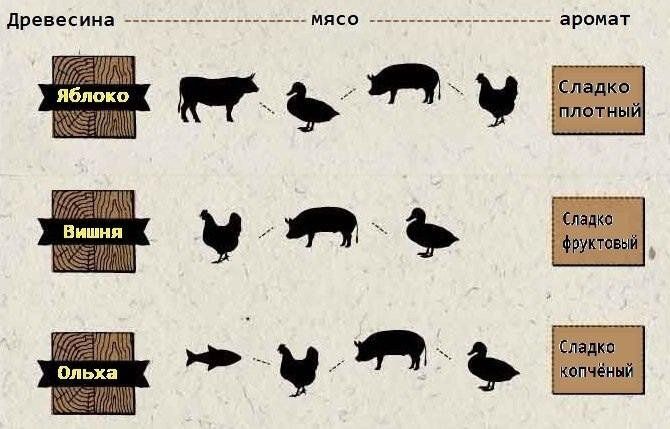 ������� ��������: ��� ��������� ���� ��������� ���������� ���� ����