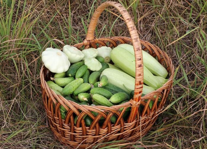 ��������� ������: ������� ����� � �������� ��� ��������� ��������