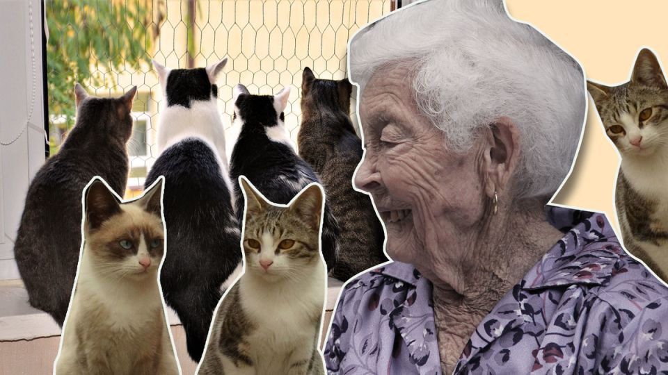 ������� ��������, ������� ���������� �����: ������ � ������� ���������� �����