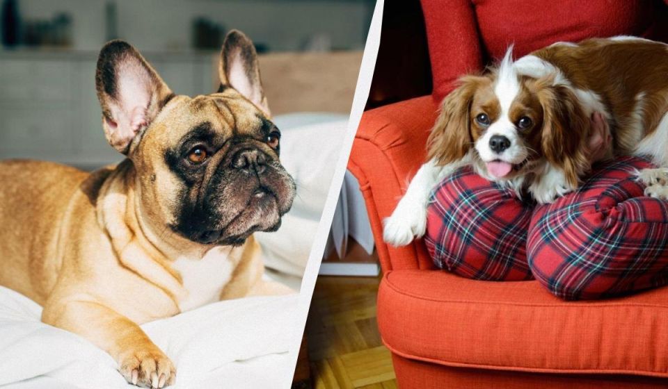 ��� ������ ����� ����� ������ ������� �� ������ ��������