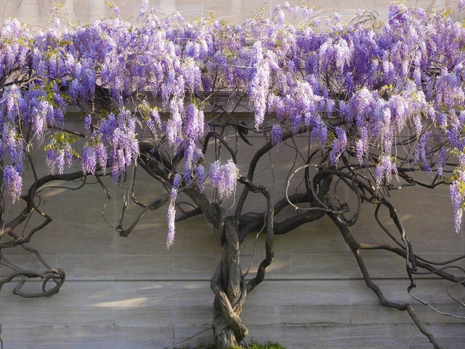 ��������: ��� �������� ���� ���, �� ������� ������