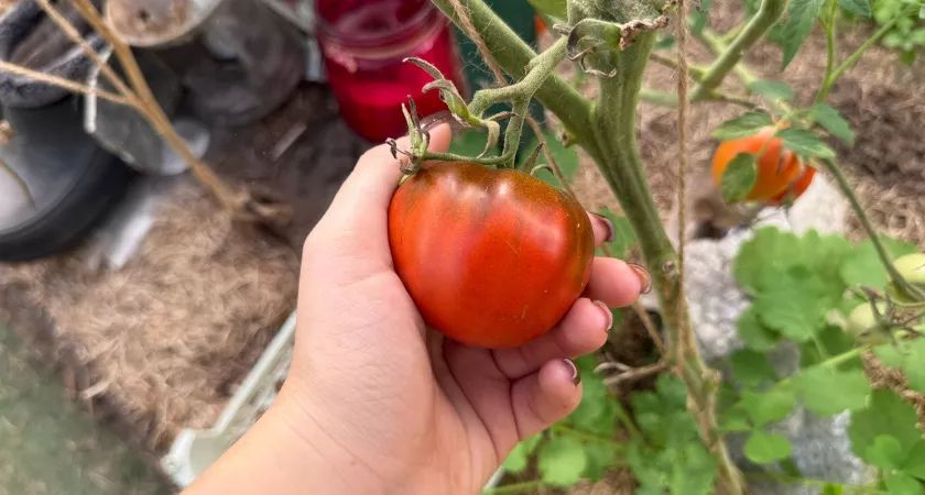 ��������������� ��������: ��� ����, ����� �� ������� ����� �� �������