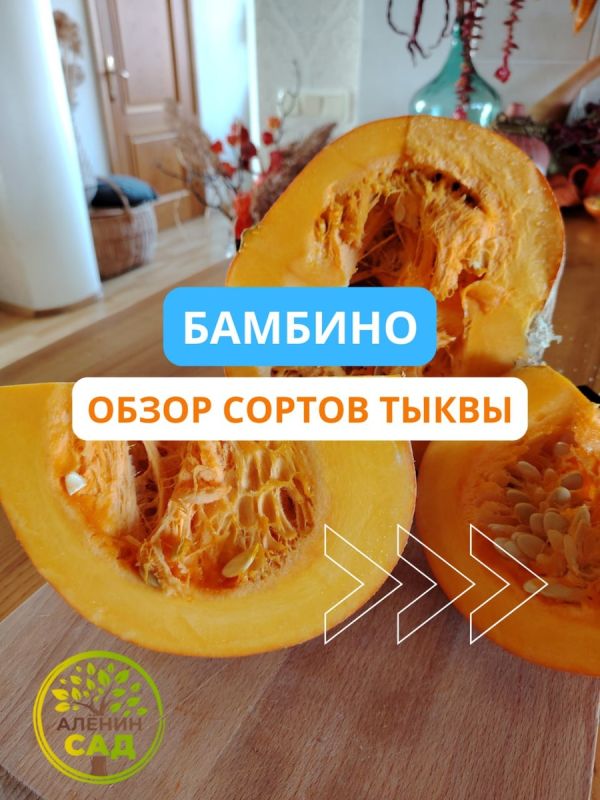 ��� ����� ����� �����, ������� �� ������� ������������