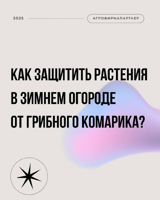 ������� �������� � ����: ��� ��������� ���������� ������ � ����������