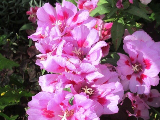 ��� ����� ��������� ����� ��� ����� ������: ������� � ������ ��������