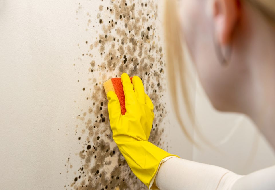 ��� ���������� ������� ������� ��� ������ �������� ��������?