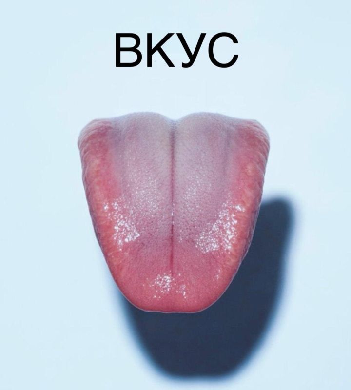 Пять основных вкусов и их роль в кулинарии