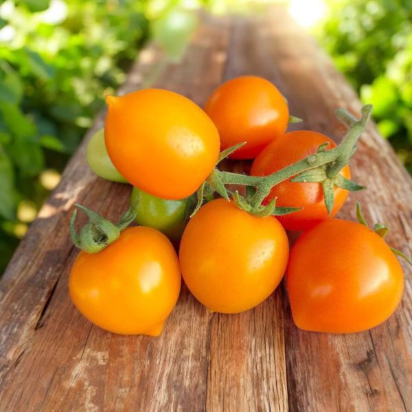 ����� �������: ��� ��������� ������ ������ �������