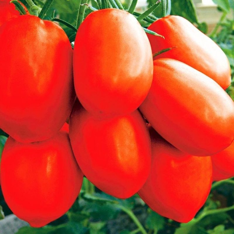 ����� �������-������: ��������� ���������� ��������������� � ����� �� ������������� ��������