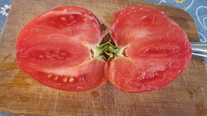 Томат Миссис Хаусворт: спокойное объяснение выращивания крупноплодного сердца на участке