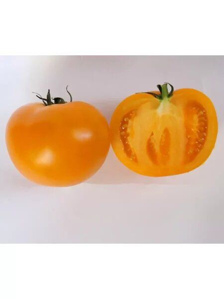 ����� �� 17: ������������ ����� � ������� ����� ��� ������ �������