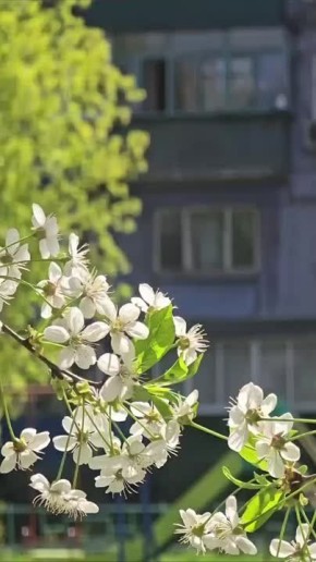 16      +20C,   45 /