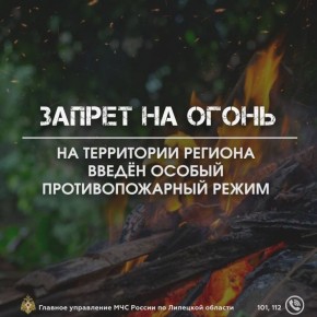        :