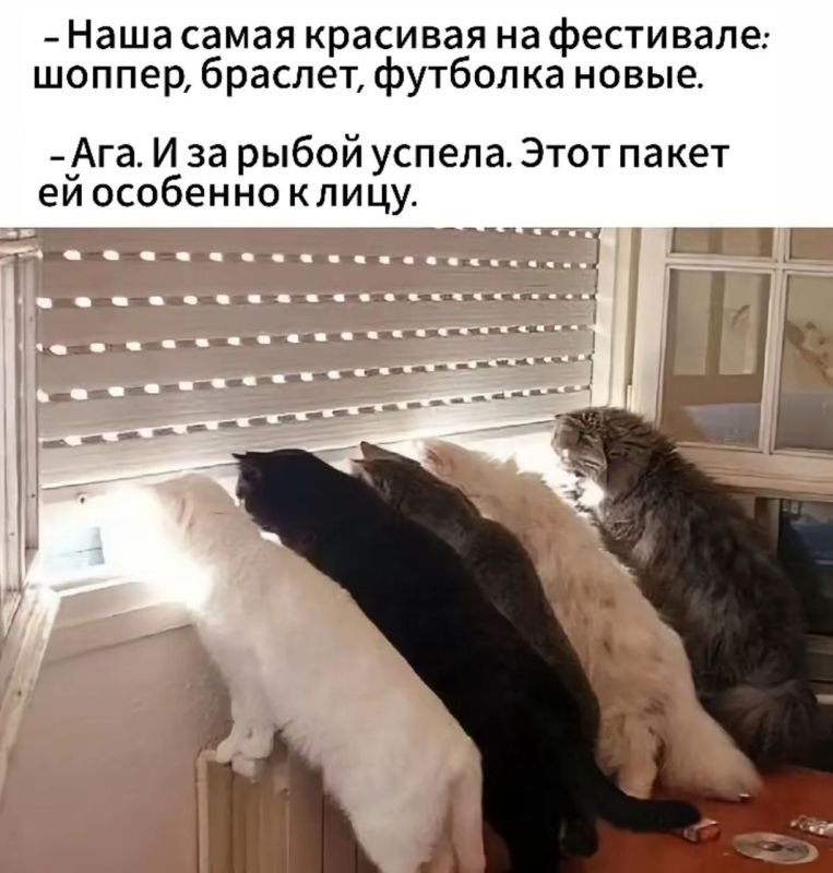  ,  .    