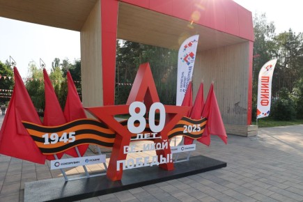 24 ,     ,     ,  80-  
