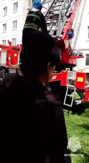  ,     :      ,   