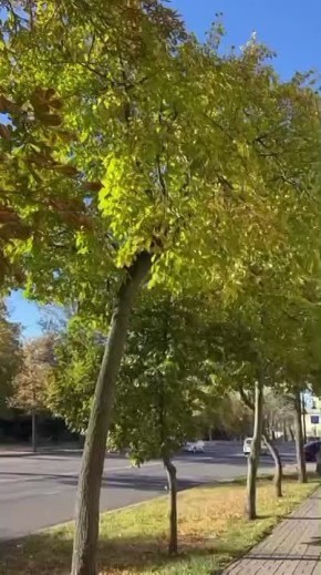        10-15 