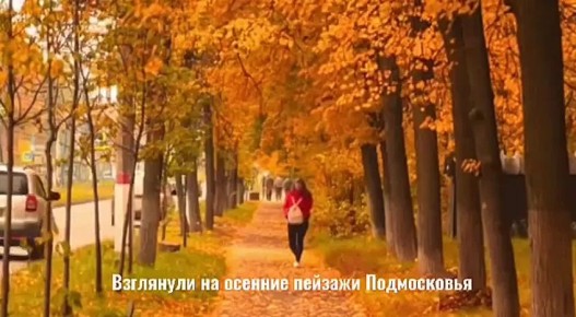 Привет, подписчик!. Лови дайджест новостей 13 - 19 октября: Экватор I этапа олимпиады по избирательному законодательству в Подмосковье Оксана Зотова рассказала о выборах в Реутове Напоминание подписчикам о конкурсе...