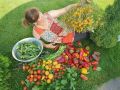 Кулинарные открытия из простого сада