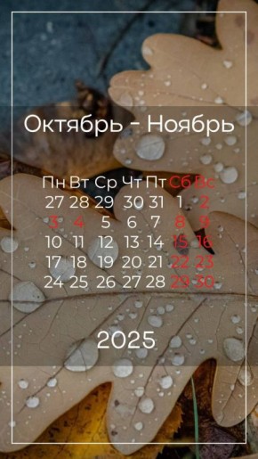 Три выходных подряд ждут жителей ЛО на следующей неделе