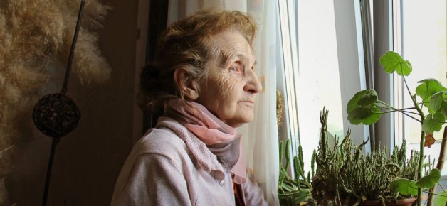 Семейные узы не спасли от суда: как пенсионерка потеряла состояние из-за обмана