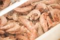 Нужно ли размораживать креветки: ошибается каждый второй